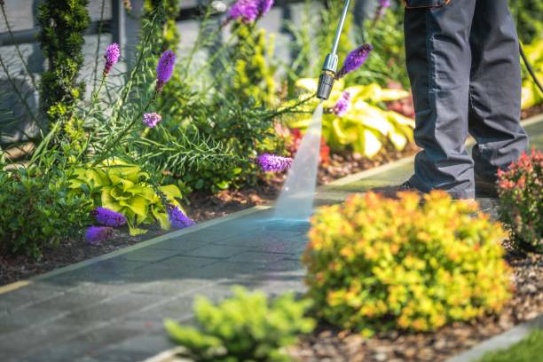 Best Winterizing Services  in Brenham, TX